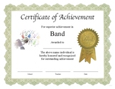 Professional PDF Editable Certificate in Color "Band"
