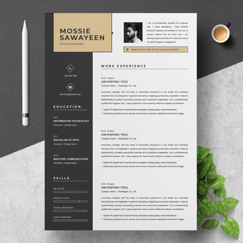Preview of Teacher Resume | Professional Resume Template | Programmer