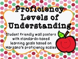 Proficiency Levels Posters for Classroom