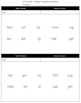 Preview of Progress Monitoring CVC Words