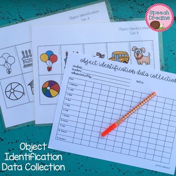 Preview of Progress Monitoring IEP Goals: Object Identification 