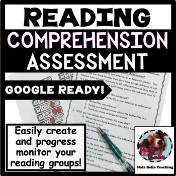 Preview of Progress Monitoring Reading Comprehension