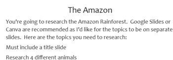 Preview of Project: Amazon Rainforest research (rubric)