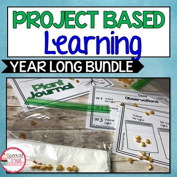 Preview of Project Based Learning Curriculum  1st Grade PBL Activities
