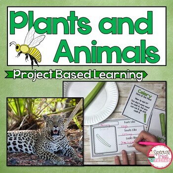 Preview of Project Based Learning Plants and Animals Bundle