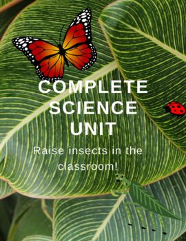 Preview of Project-Based Learning - Raise Insects in the Classroom - Complete Unit