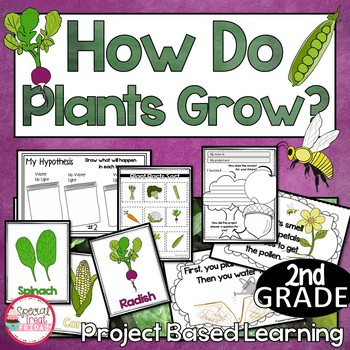 Preview of 2nd Grade Parts of Plants Activities | Plant Unit for Project Based Learning