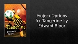 Project Options for Tangerine or Any Novel - Distance Lear