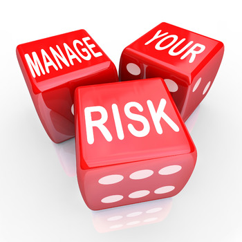 Preview of Project Risk Management