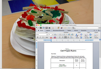 Preview of Animal/ Plant Cell Project Rubric (SOL 5.7)