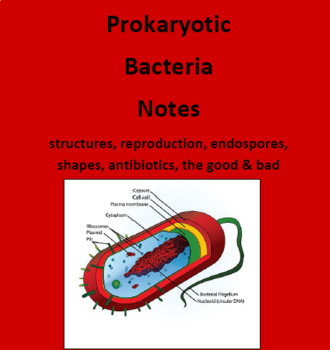 Preview of Prokaryote Bacteria Notes in Outline format with fill-ins