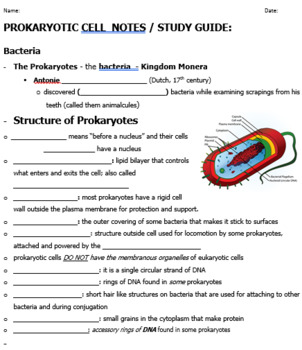 Prokaryote Bacteria Notes in Outline format with fill-ins | TPT