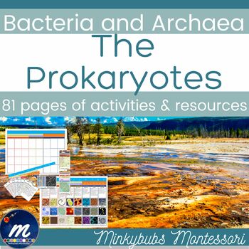 Preview of Prokaryote Bacteria and Archaea Charts Cards Diagrams Worksheets Clipart
