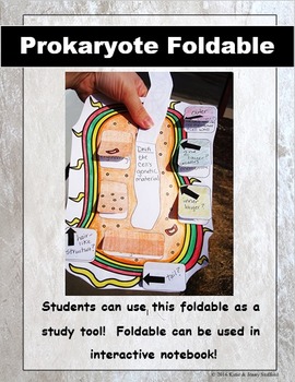 Preview of Prokaryote Cell - Bacteria Cut and Paste Foldable