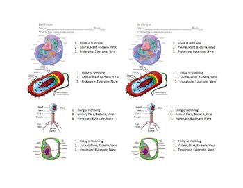 Eukaryotic Vs Prokaryotic Worksheets Teaching Resources Tpt