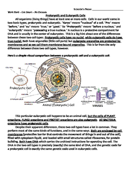 Preview of Prokaryote versus Eukaryote Cells