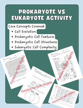 Preview of Prokaryote vs Eukaryote Activity