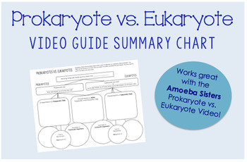 Preview of Prokaryote vs. Eukaryote -- Video Guide / Summary Chart