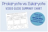 Prokaryote vs. Eukaryote -- Video Guide / Summary Chart