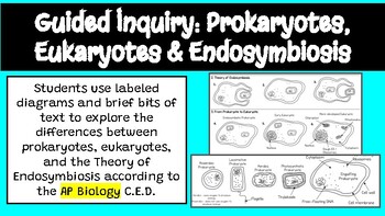 Preview of Prokaryotes, Eukaryotes & Theory of Endosymbiosis AP Biology