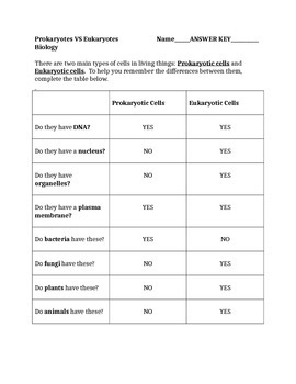 30 Prokaryotic And Eukaryotic Cells Worksheet - Worksheet Resource Plans