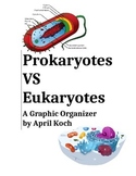 Prokaryotes VS Eukaryotes Graphic Organizer