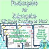 Prokaryotes vs Eukaryotes: Comparing and Contrasting QR Co