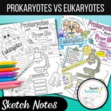 Prokaryotes vs Eukaryotes Sketch Notes/ Coloring Sheet
