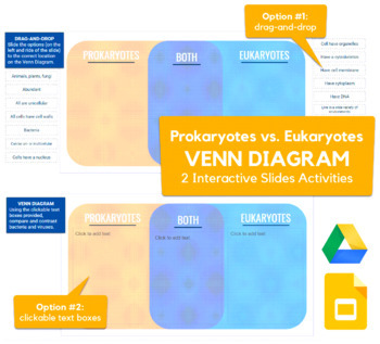 Preview of Prokaryotes vs. Eukaryotes Venn Diagram - drag-drop, labeling activity in Slides