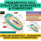 Prokaryotic Cell Structure Worksheets, PowerPoint with Eas