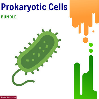 Preview of Prokaryotic Cells Mastery Bundle: Comprehensive Resources for In-Depth Learning