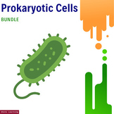 Prokaryotic Cells Mastery Bundle: Comprehensive Resources 
