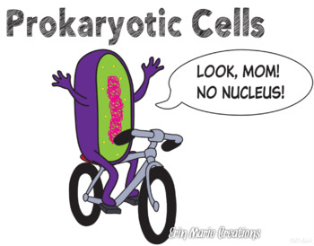 Preview of Prokaryotic Cells Visual