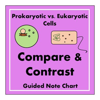 Preview of Prokaryotic Cells and Eukaryotic Cells Compare Contrast