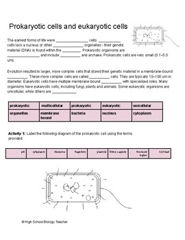 Prokaryotic Cells and Eukaryotic Cells - High School Biology Resource