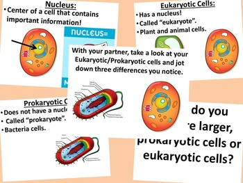Prokaryotic Cells vs. Eukaryotic Cells by Science Station | TpT