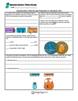 Preview of Prokaryotic Cells vs. Eukaryotic Cells by Amoeba Sisters- Free Student Handout