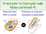 Prokaryotic & Eukaryotic Cell Worksheet