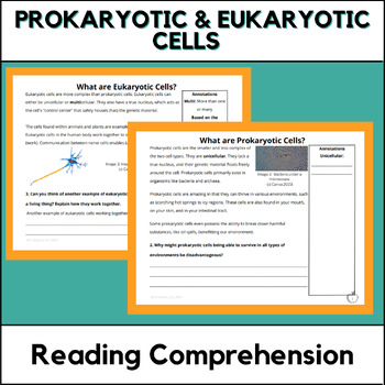 Preview of Prokaryotic & Eukaryotic Cells Reading Comprehension Differentiated & Scaffolded
