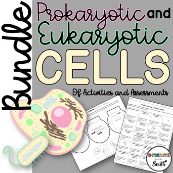 Preview of Prokaryotic and Eukaryotic Cells Unit Bundle of Activities and Assessments