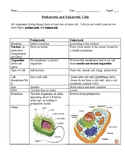 Prokaryotic And Eukaryotic Cells Worksheet Teaching Resources