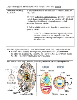 Prokaryotic and Eukaryotic Cells by Mrs Quigleys Classroom Spectacular