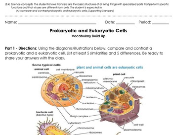 Preview of Prokaryotic and Eukaryotic Cells - Introduction Group Activity