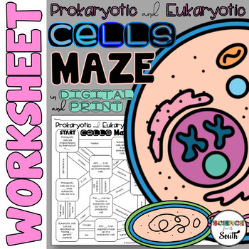 Preview of Prokaryotic and Eukaryotic Cells Maze Worksheet Printable and Digital Resource