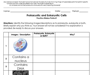 Prokaryotic and Eukaryotic Cells - Review Activity (4A) by Prayer of Jabez