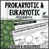 Prokaryotic and Eukaryotic Cells Science Center and Assessment