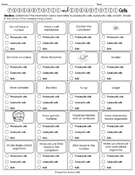 Prokaryotic and Eukaryotic Cells Worksheet for Review or Assessment