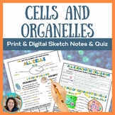 Prokaryotic and Eukaryotic Cells and Organelles - Sketch N