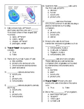 31 Prokaryotic And Eukaryotic Cells Worksheet - Free Worksheet Spreadsheet