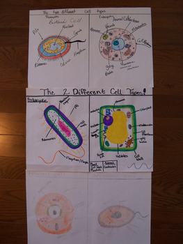 Prokaryotic and Eukaryotic cell poster activity with rubric guide